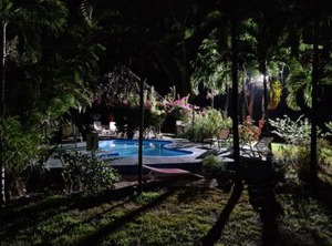 Villas Jungle | Samara