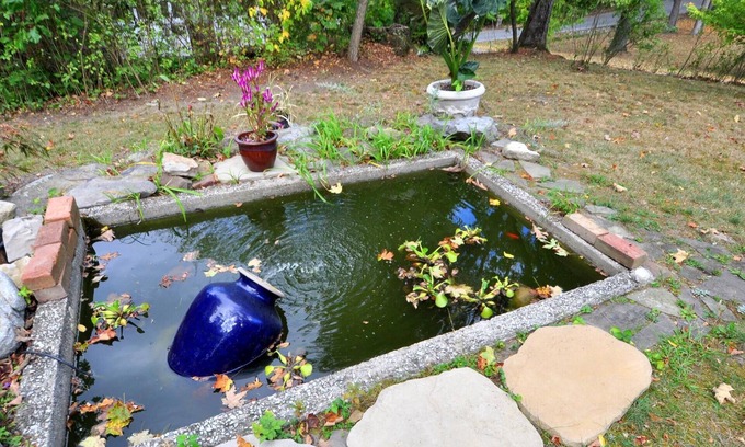 Berkeley Springs Cabin | Manor at Berkeley Springs