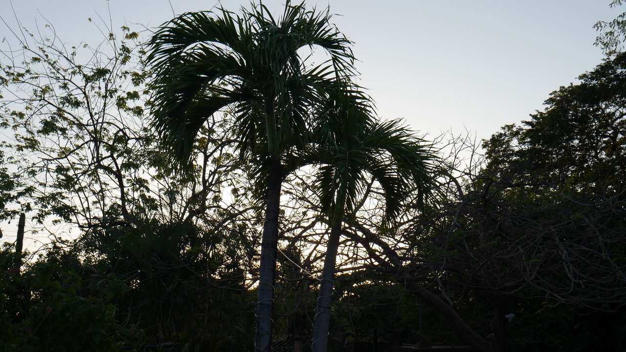 Photo of Outdoor in Rio Seco