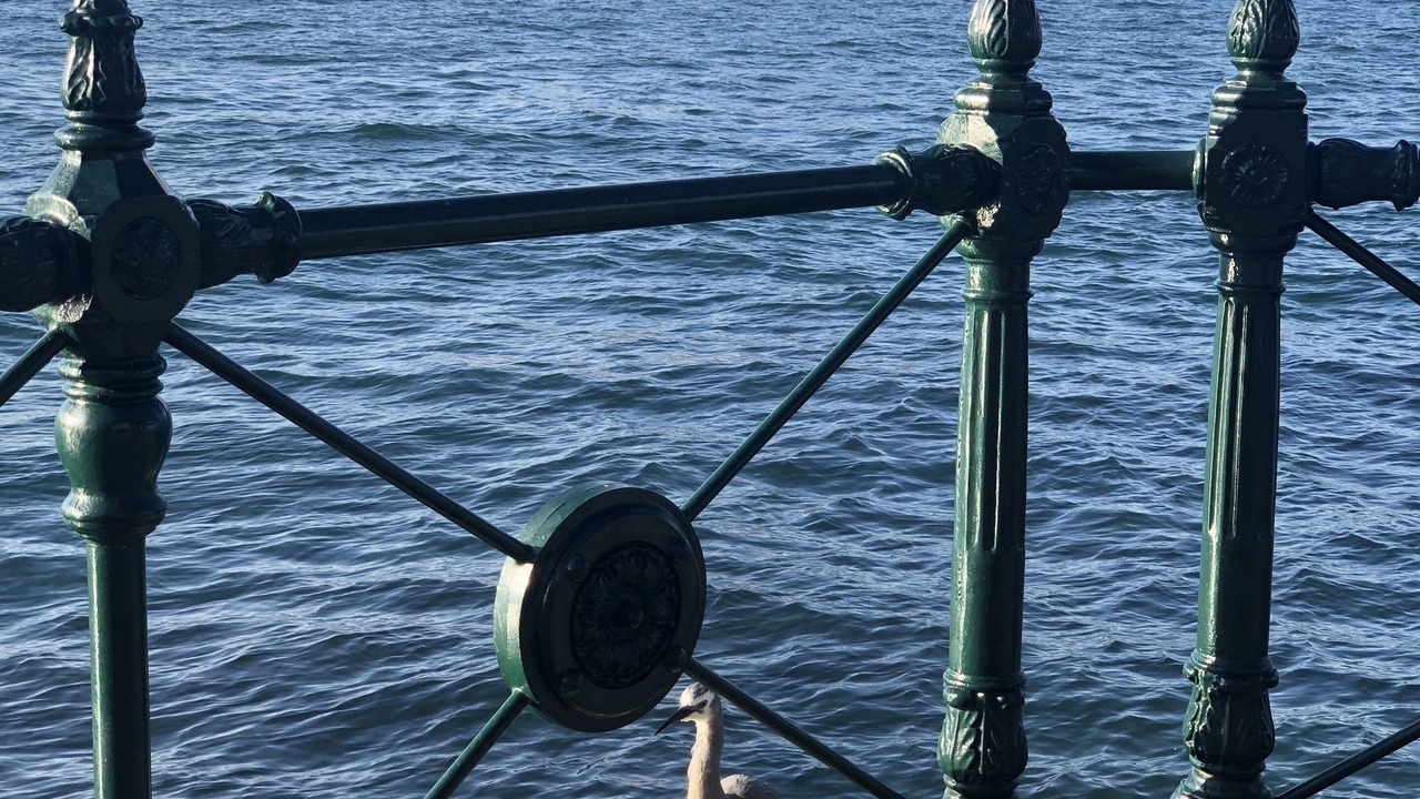 Photo of Others in North Sydney