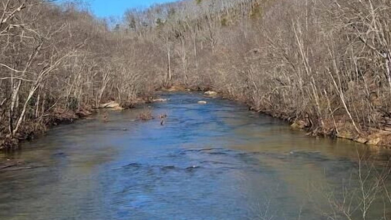 Photo of Others in Arrington