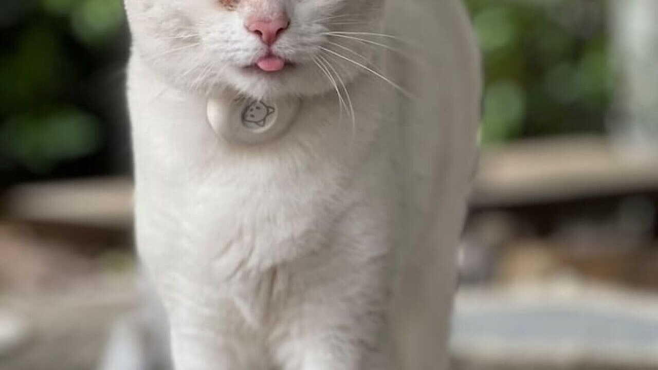 Photo of Others in Fernwood