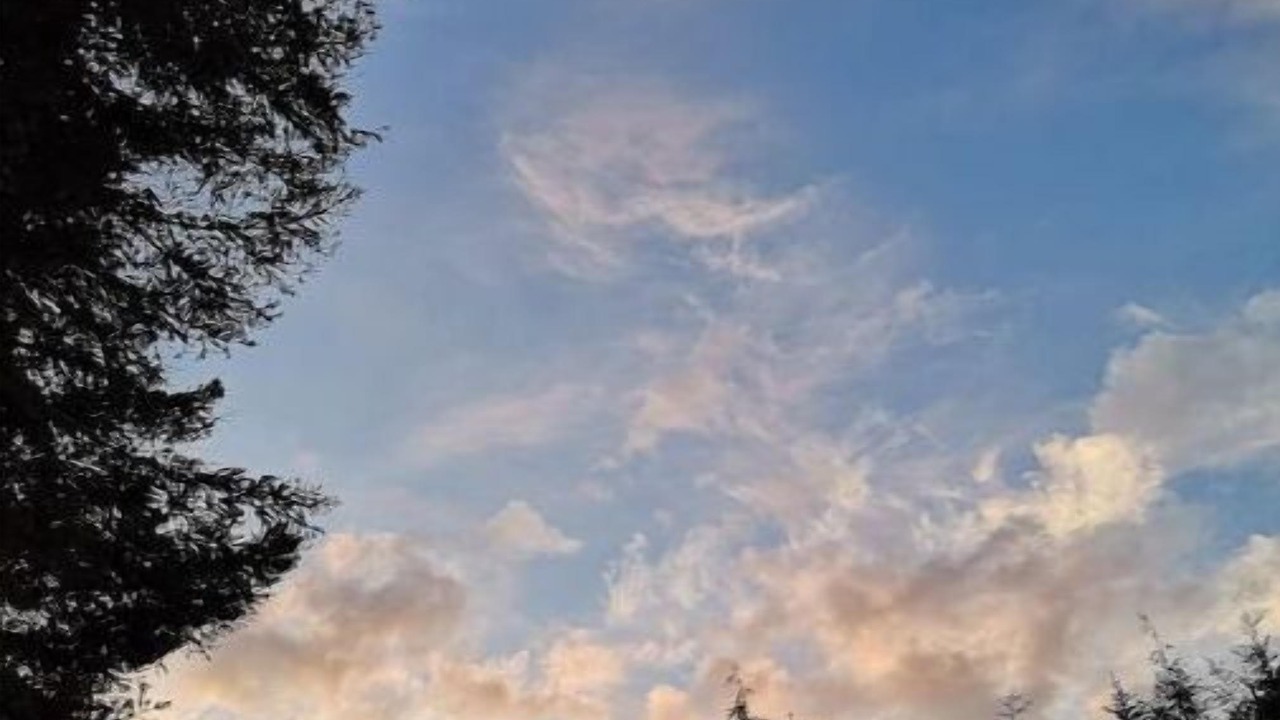 Photo of Others in Hemlock Valley