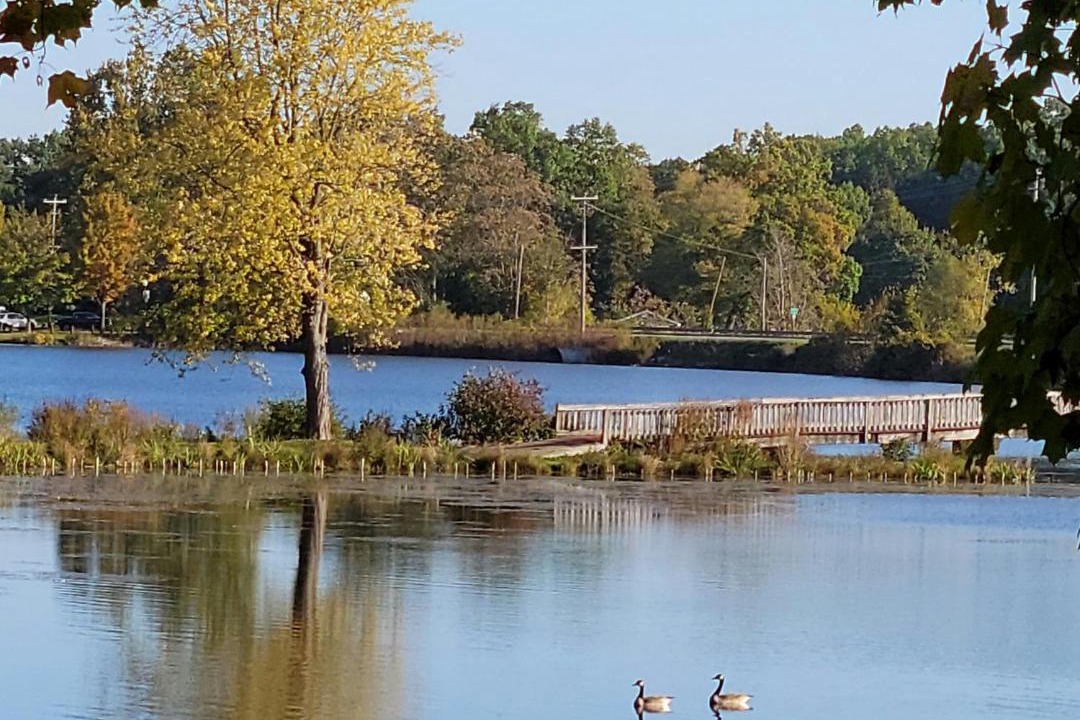 Photo of Others in Paw Paw